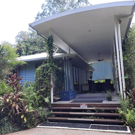 Daintree Rainforest Accommodation Cow Bay Eksteriør bilde