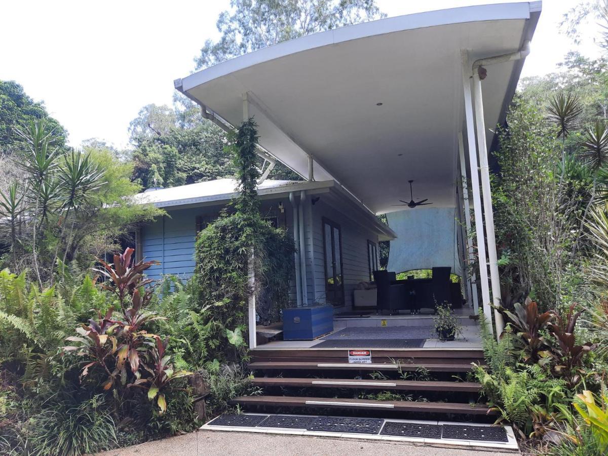 Daintree Rainforest Accommodation Cow Bay Eksteriør bilde