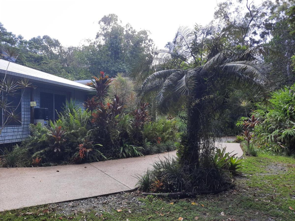 Daintree Rainforest Accommodation Cow Bay Eksteriør bilde