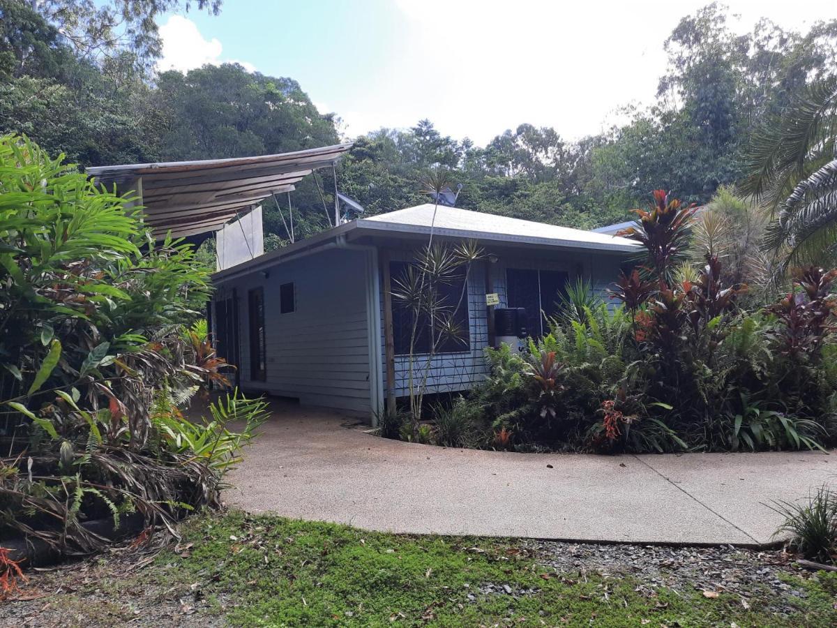 Daintree Rainforest Accommodation Cow Bay Eksteriør bilde