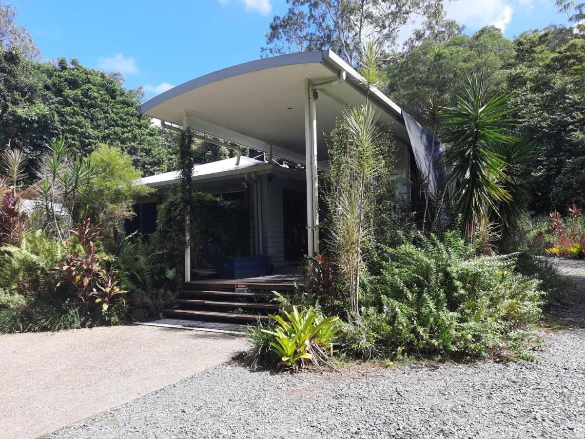 Daintree Rainforest Accommodation Cow Bay Eksteriør bilde